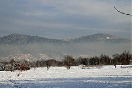 Kliknij na zdjęcie, żeby zobaczyć w pełnych wymiarach