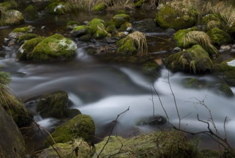 Kliknij na zdjęcie, żeby zobaczyć w pełnych wymiarach