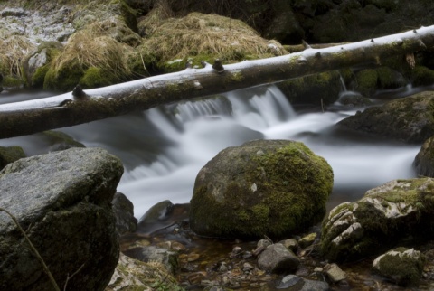 Kliknij na zdjęcie, żeby zobaczyć w pełnych wymiarach