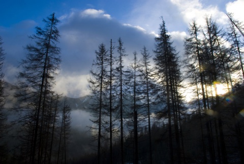 Kliknij na zdjęcie, żeby zobaczyć w pełnych wymiarach