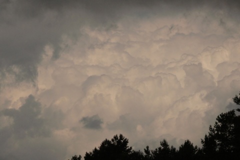 Kliknij na zdjęcie, żeby zobaczyć w pełnych wymiarach