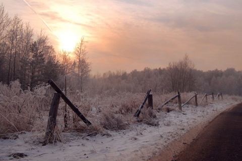 Kliknij na zdjęcie, żeby zobaczyć w pełnych wymiarach