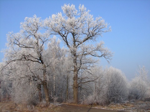 Kliknij na zdjęcie, żeby zobaczyć w pełnych wymiarach