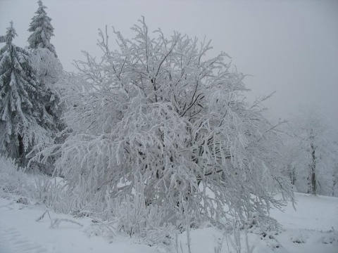 Kliknij na zdjęcie, żeby zobaczyć w pełnych wymiarach