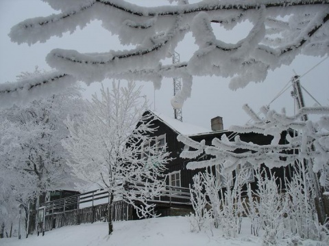 Kliknij na zdjęcie, żeby zobaczyć w pełnych wymiarach