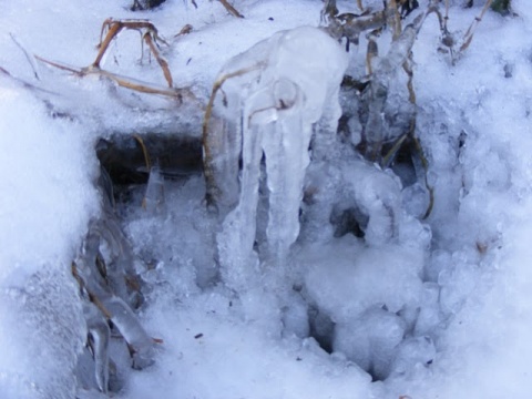 Kliknij na zdjęcie, żeby zobaczyć w pełnych wymiarach