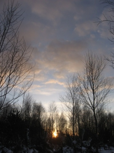 Kliknij na zdjęcie, żeby zobaczyć w pełnych wymiarach