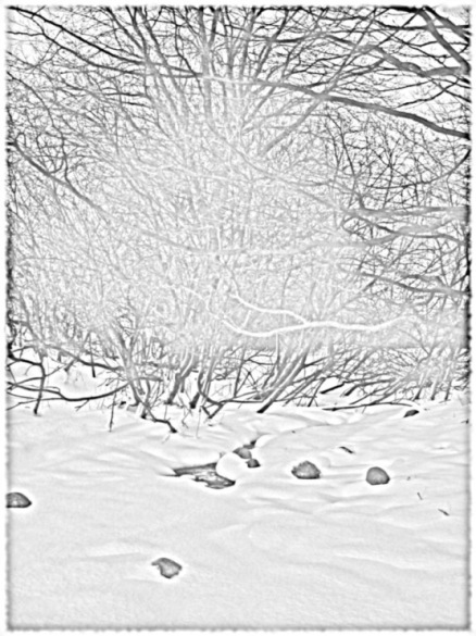 Kliknij na zdjęcie, żeby zobaczyć w pełnych wymiarach