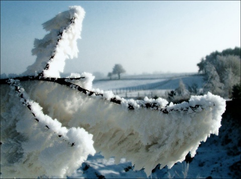 Kliknij na zdjęcie, żeby zobaczyć w pełnych wymiarach