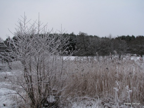 Kliknij na zdjęcie, żeby zobaczyć w pełnych wymiarach