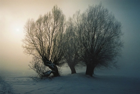 Kliknij na zdjęcie, żeby zobaczyć w pełnych wymiarach