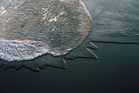 Kliknij na zdjęcie, żeby zobaczyć w pełnych wymiarach