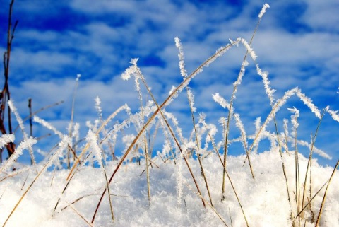 Kliknij na zdjęcie, żeby zobaczyć w pełnych wymiarach