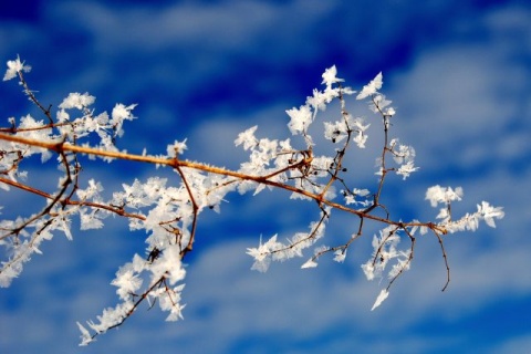 Kliknij na zdjęcie, żeby zobaczyć w pełnych wymiarach