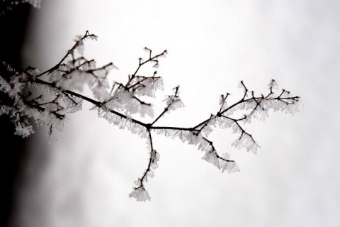 Kliknij na zdjęcie, żeby zobaczyć w pełnych wymiarach