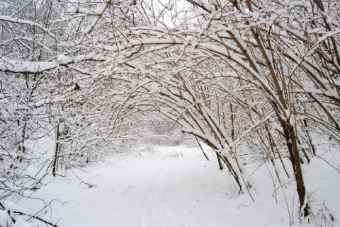 Kliknij na zdjęcie, żeby zobaczyć w pełnych wymiarach