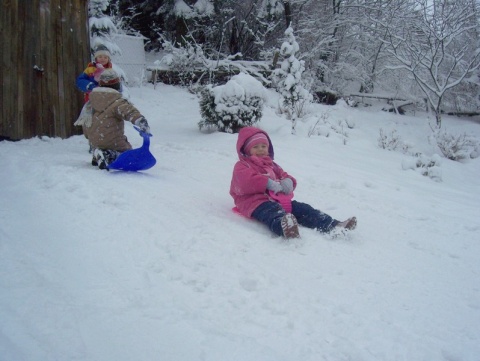 Kliknij na zdjęcie, żeby zobaczyć w pełnych wymiarach