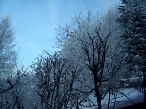 Kliknij na zdjęcie, żeby zobaczyć w pełnych wymiarach