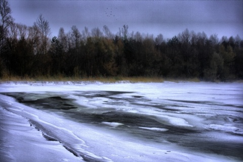 Kliknij na zdjęcie, żeby zobaczyć w pełnych wymiarach