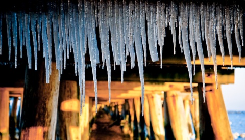 Kliknij na zdjęcie, żeby zobaczyć w pełnych wymiarach