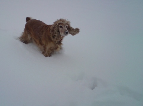 Kliknij na zdjęcie, żeby zobaczyć w pełnych wymiarach