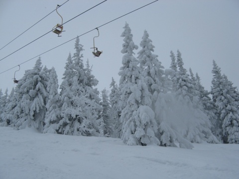 Kliknij na zdjęcie, żeby zobaczyć w pełnych wymiarach