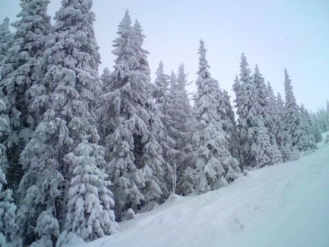 Kliknij na zdjęcie, żeby zobaczyć w pełnych wymiarach