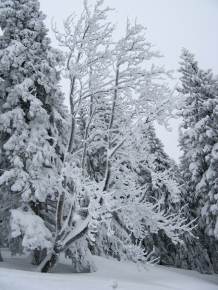 Kliknij na zdjęcie, żeby zobaczyć w pełnych wymiarach