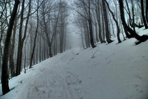 Kliknij na zdjęcie, żeby zobaczyć w pełnych wymiarach
