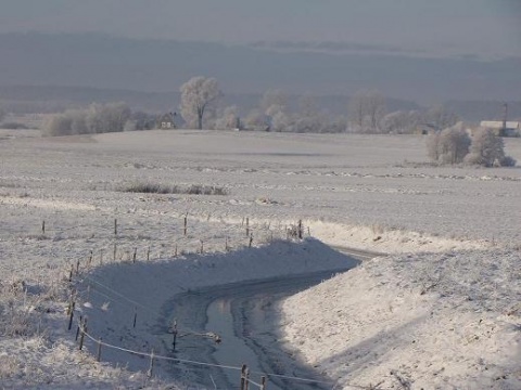 Kliknij na zdjęcie, żeby zobaczyć w pełnych wymiarach