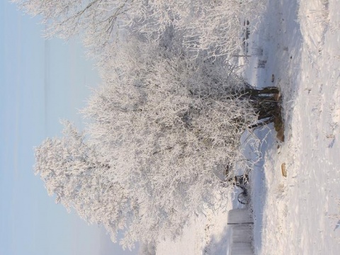 Kliknij na zdjęcie, żeby zobaczyć w pełnych wymiarach