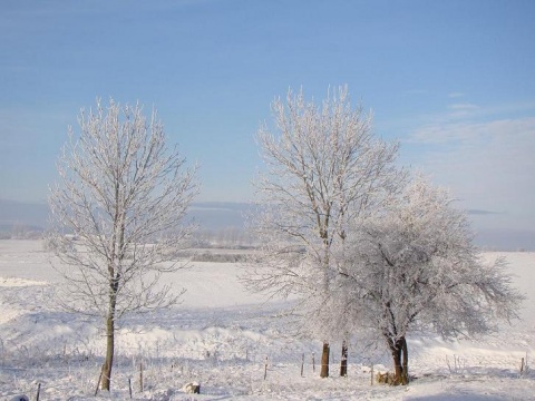 Kliknij na zdjęcie, żeby zobaczyć w pełnych wymiarach