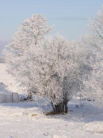 Kliknij na zdjęcie, żeby zobaczyć w pełnych wymiarach