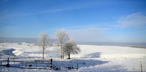 Kliknij na zdjęcie, żeby zobaczyć w pełnych wymiarach