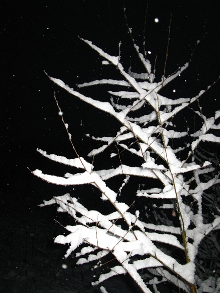 Kliknij na zdjęcie, żeby zobaczyć w pełnych wymiarach