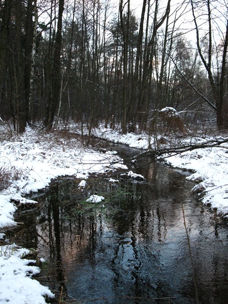 Kliknij na zdjęcie, żeby zobaczyć w pełnych wymiarach