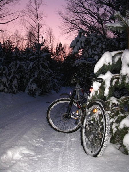 Kliknij na zdjęcie, żeby zobaczyć w pełnych wymiarach