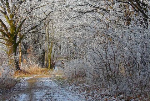 Kliknij na zdjęcie, żeby zobaczyć w pełnych wymiarach
