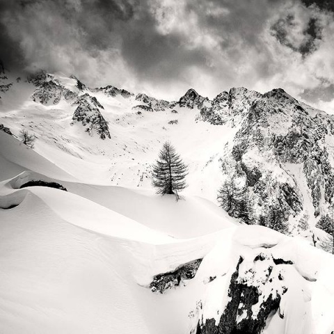 Kliknij na zdjęcie, żeby zobaczyć w pełnych wymiarach