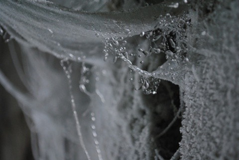 Kliknij na zdjęcie, żeby zobaczyć w pełnych wymiarach