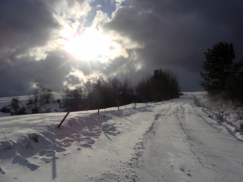 Kliknij na zdjęcie, żeby zobaczyć w pełnych wymiarach