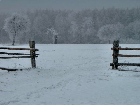 Kliknij na zdjęcie, żeby zobaczyć w pełnych wymiarach