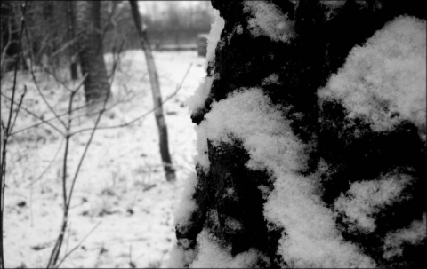 Kliknij na zdjęcie, żeby zobaczyć w pełnych wymiarach