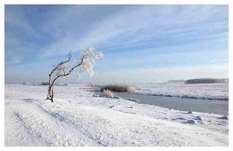 Kliknij na zdjęcie, żeby zobaczyć w pełnych wymiarach
