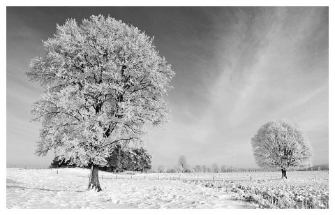 Kliknij na zdjęcie, żeby zobaczyć w pełnych wymiarach