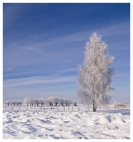 Kliknij na zdjęcie, żeby zobaczyć w pełnych wymiarach