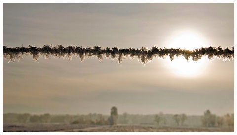 Kliknij na zdjęcie, żeby zobaczyć w pełnych wymiarach