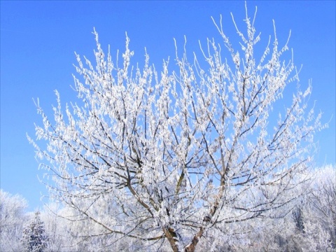 Kliknij na zdjęcie, żeby zobaczyć w pełnych wymiarach
