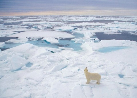 Kliknij na zdjęcie, żeby zobaczyć w pełnych wymiarach