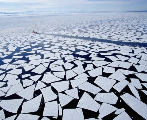 Kliknij na zdjęcie, żeby zobaczyć w pełnych wymiarach